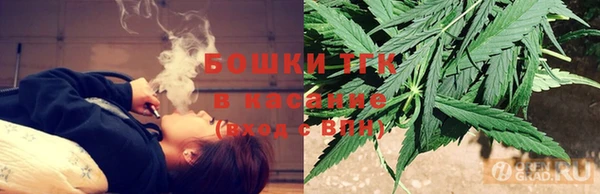 крисы Верхний Тагил