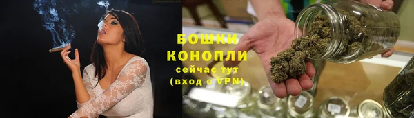 мдпв Верея