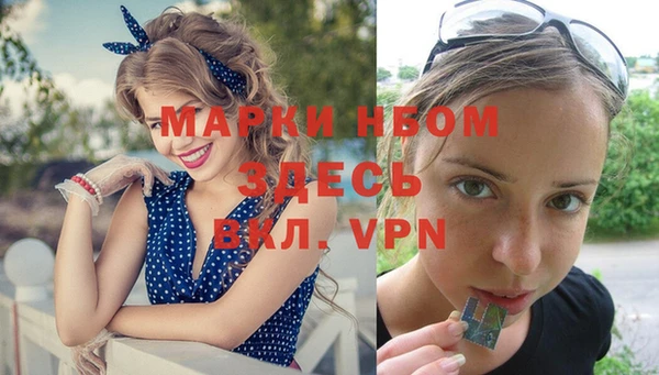 ALPHA-PVP Богородицк
